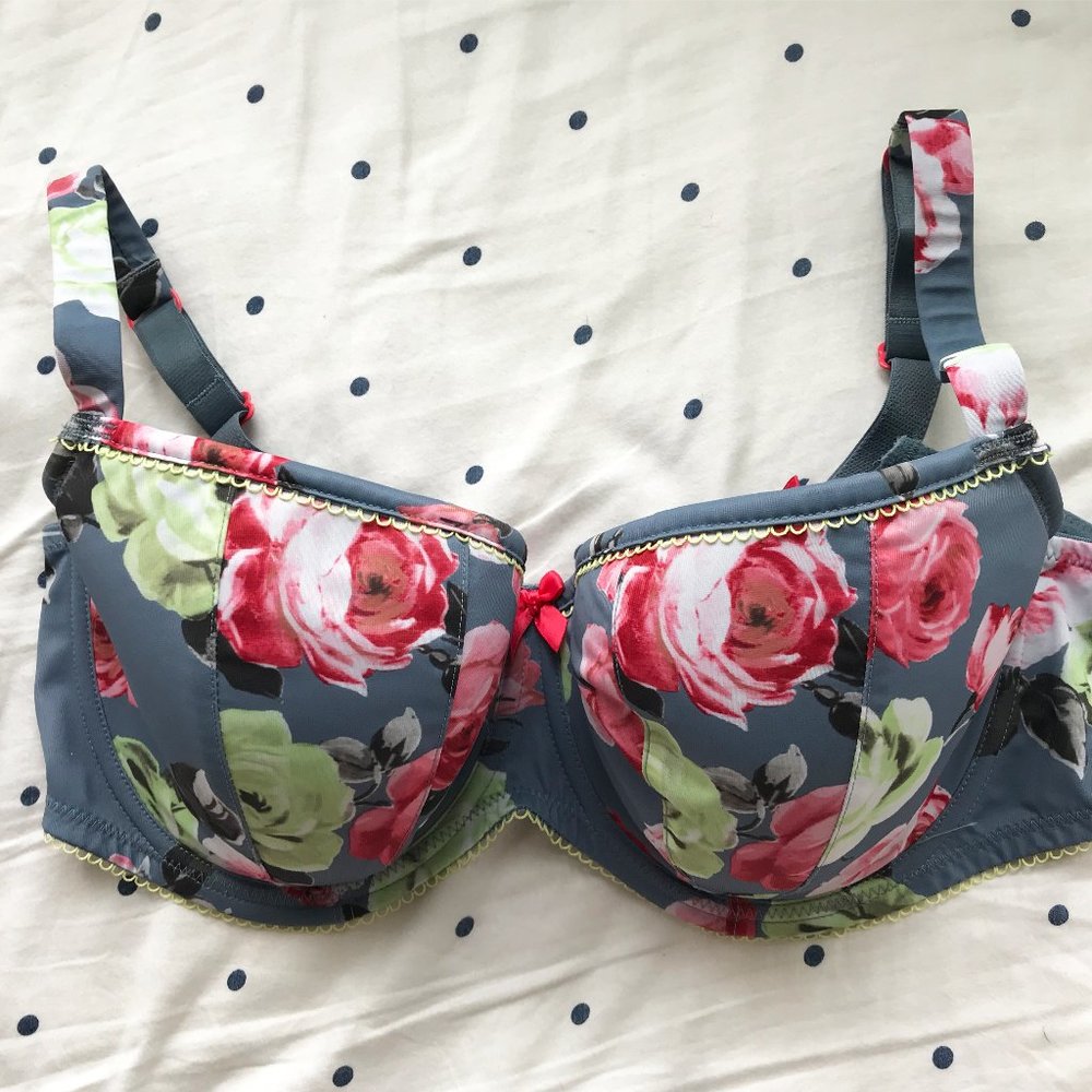 Cleo by Panache Mimi Padded Balconette Bra (38E)